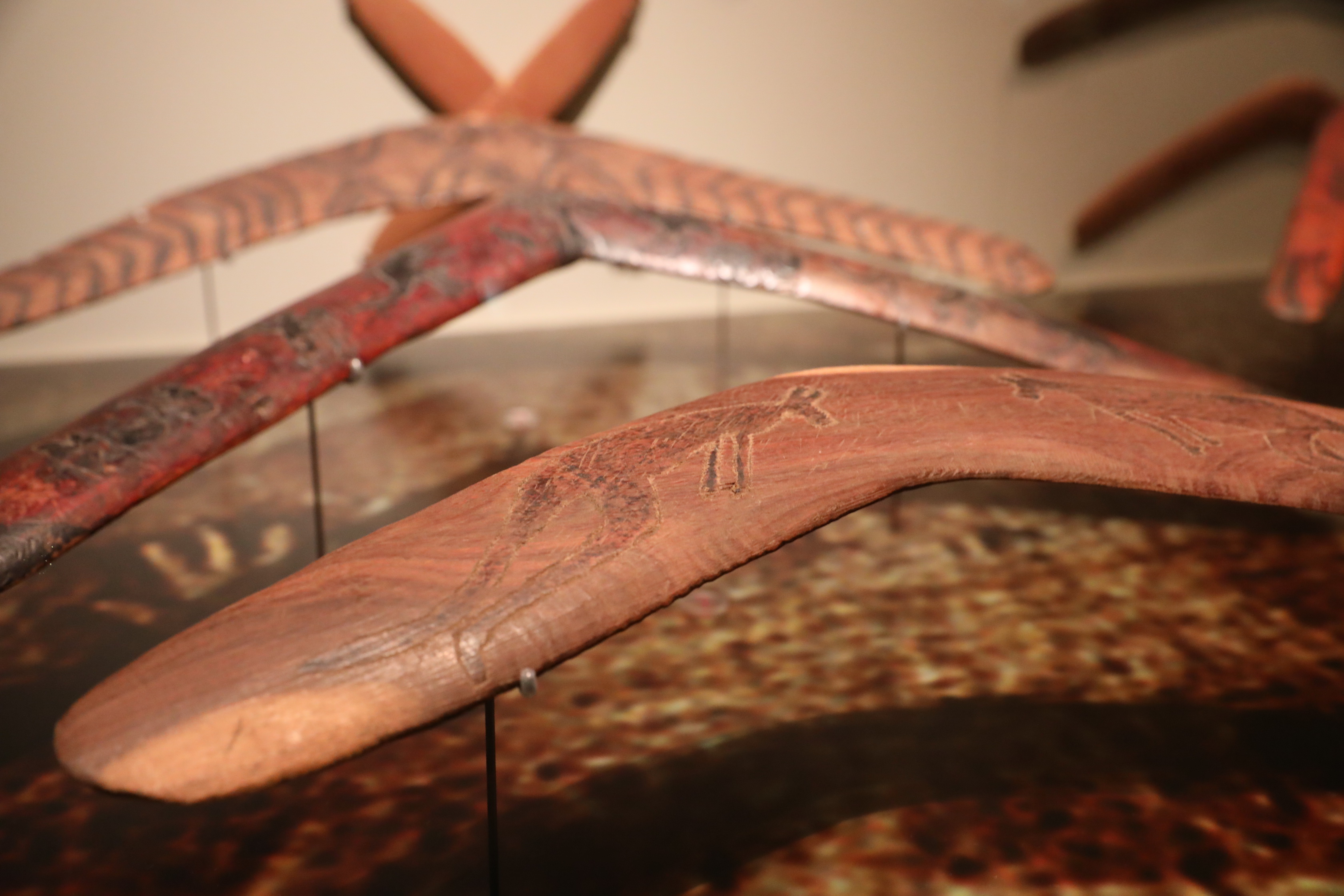 2019 09 22 14 08 59 Canon EOS 5D Mark IV 0008